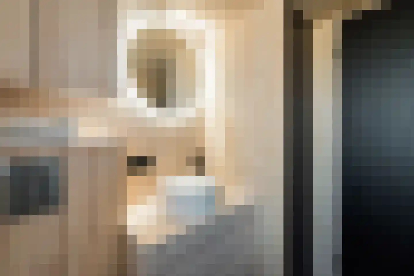 Hofdijklaan 61 R14 Oud Ade thumbnail 31