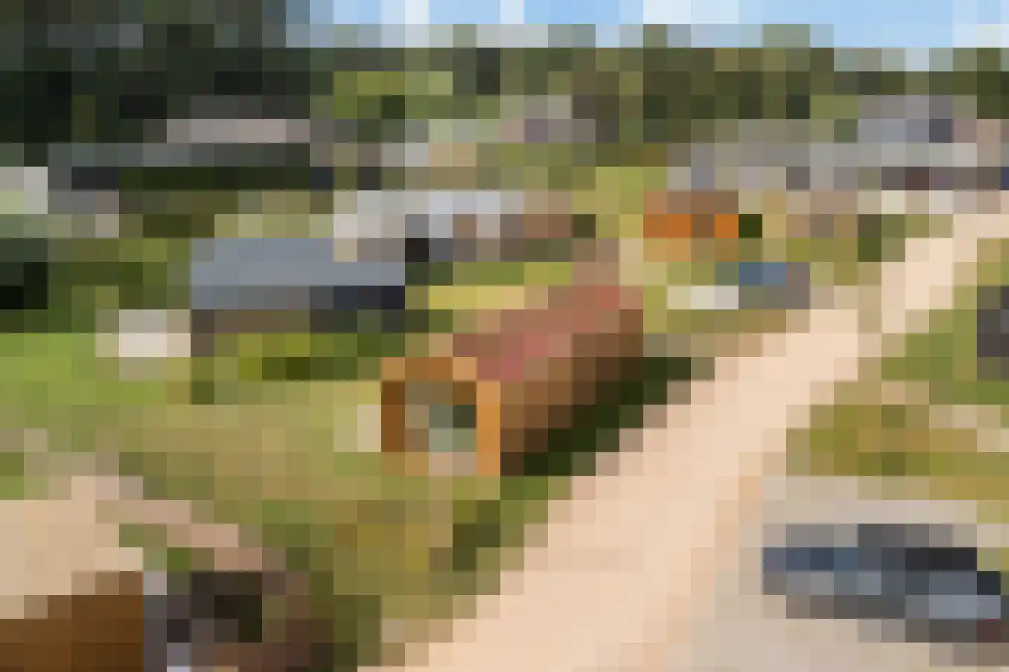 Hofdijklaan 61 R14 Oud Ade thumbnail 33