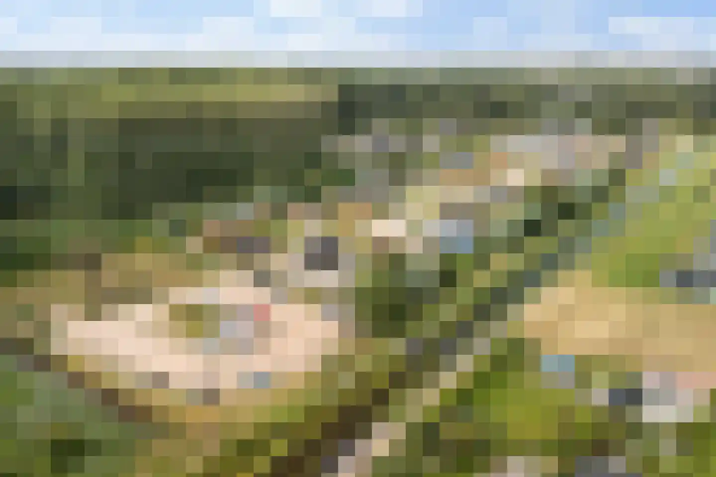 Hofdijklaan 61 R14 Oud Ade thumbnail 42