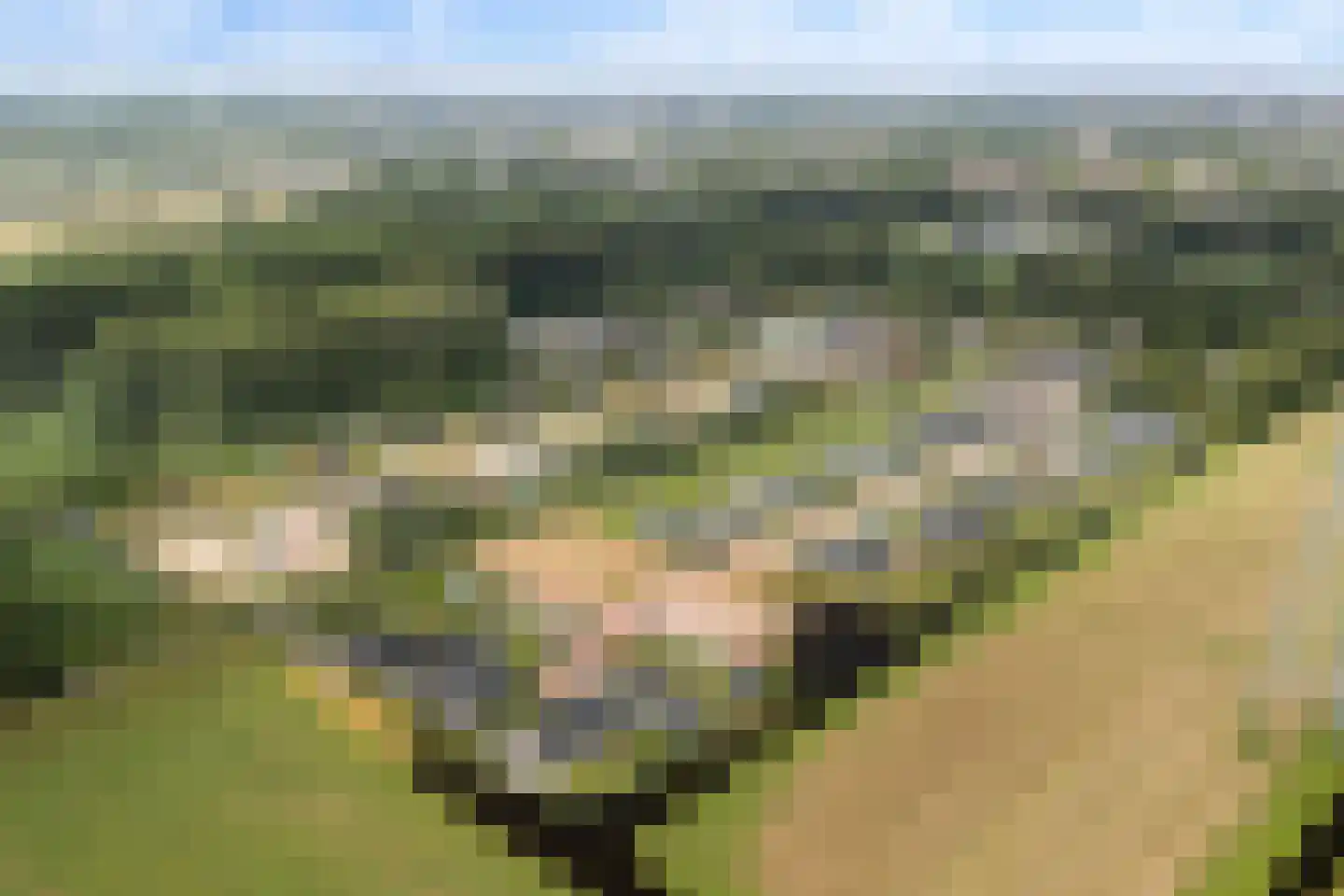 Hofdijklaan 61 R14 Oud Ade thumbnail 43