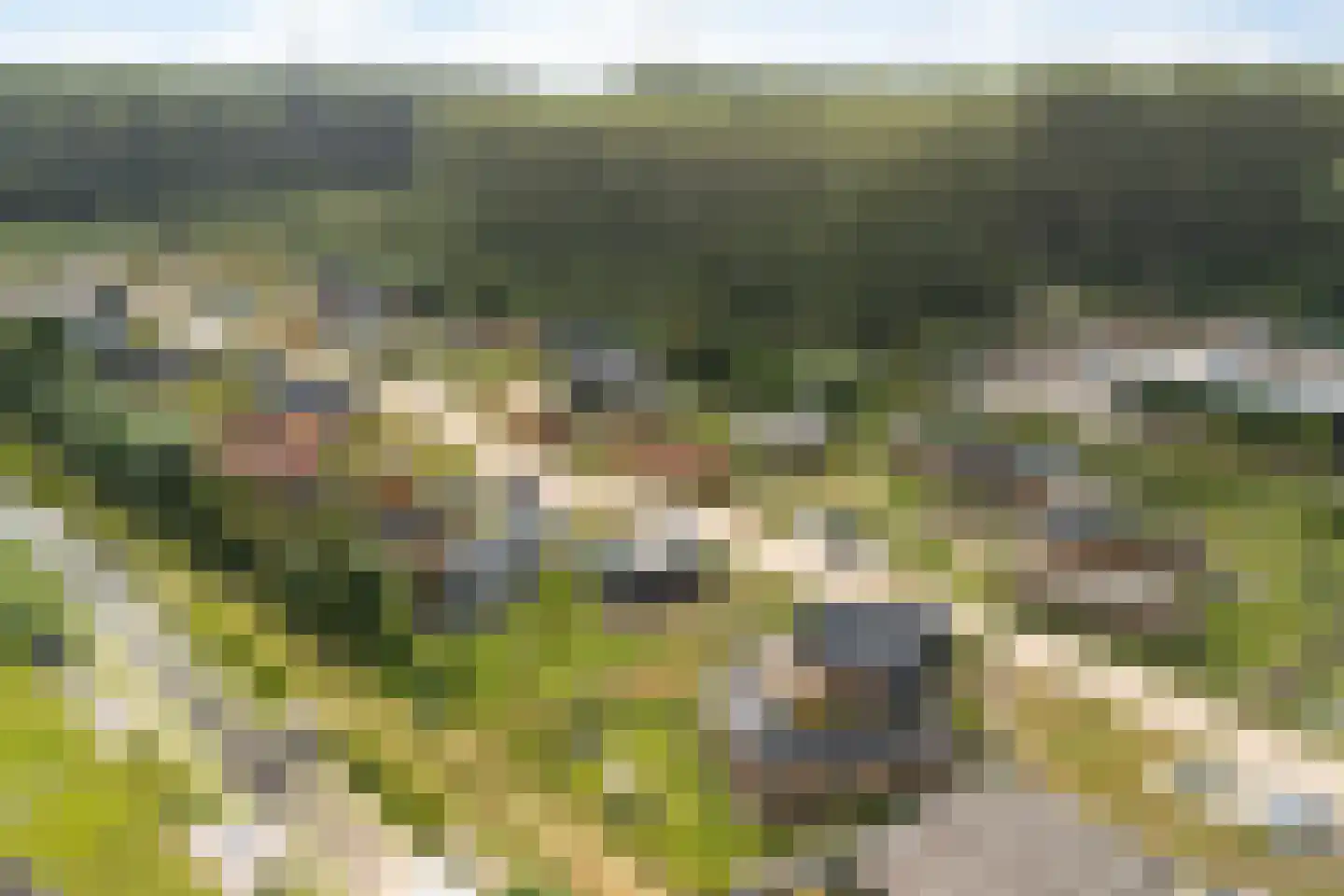 Hofdijklaan 61 R14 Oud Ade thumbnail 45