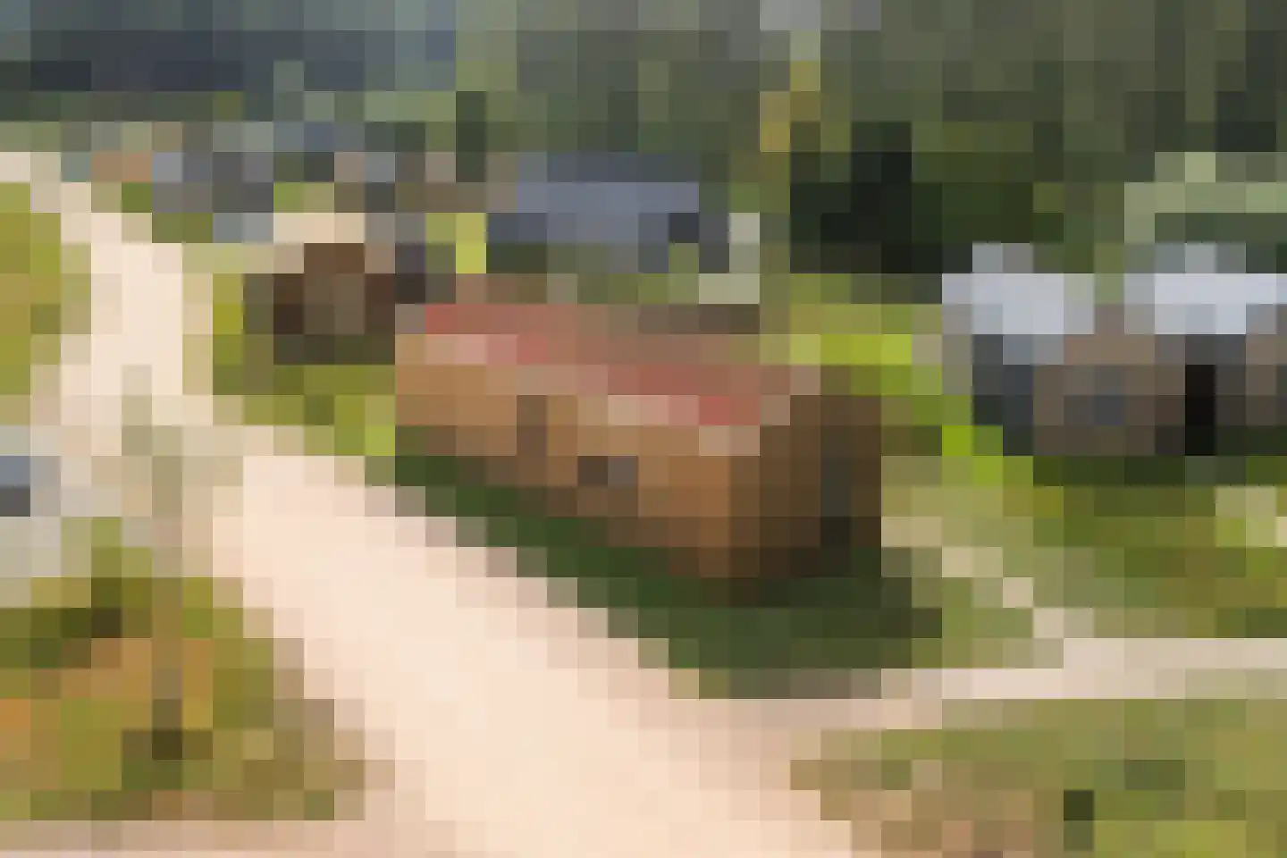Hofdijklaan 61 R14 Oud Ade thumbnail 46
