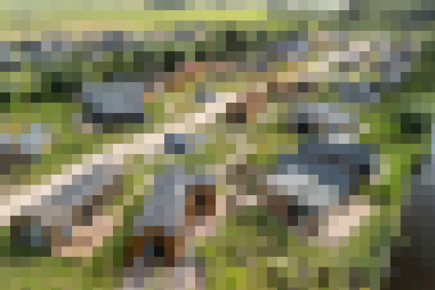 Hofdijklaan 61 R14 Oud Ade thumbnail 6