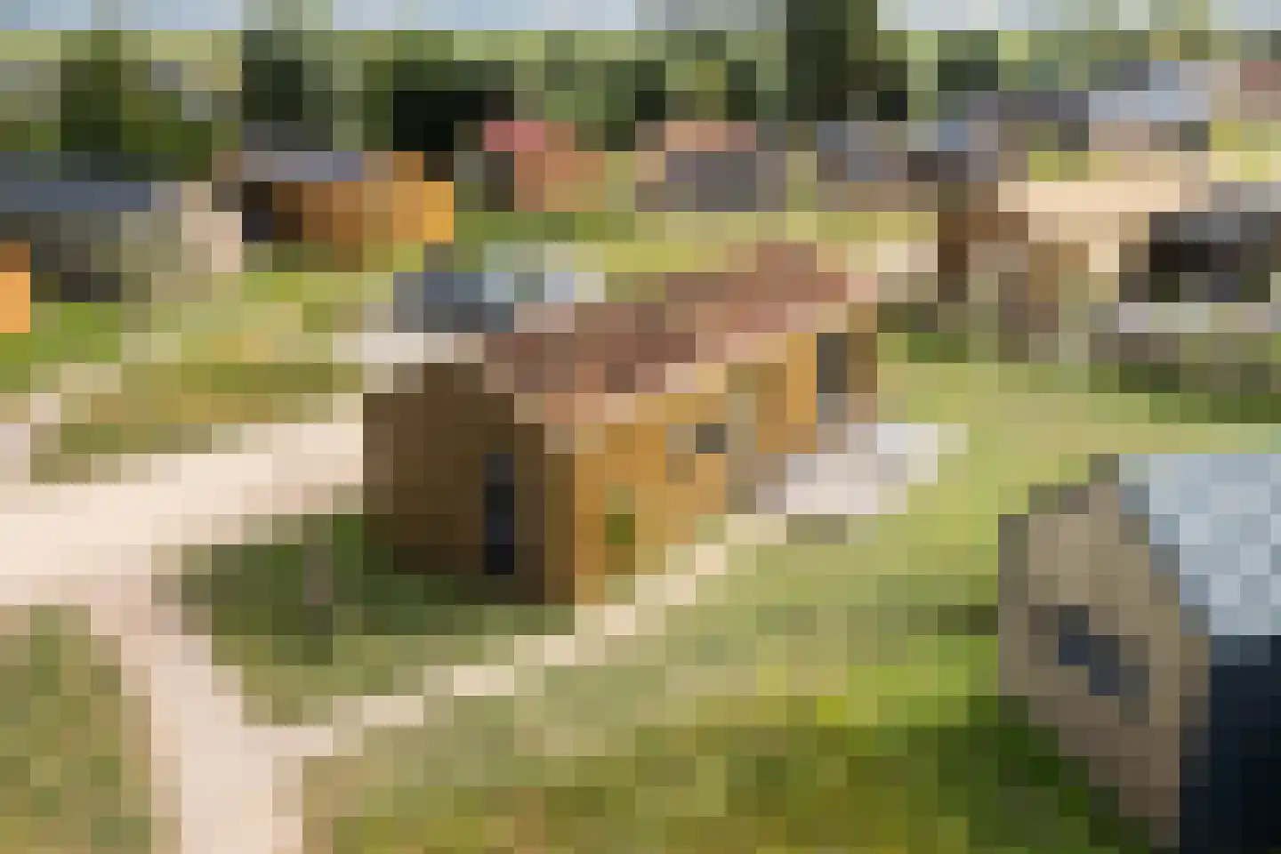 Hofdijklaan 61 R14 Oud Ade thumbnail 7