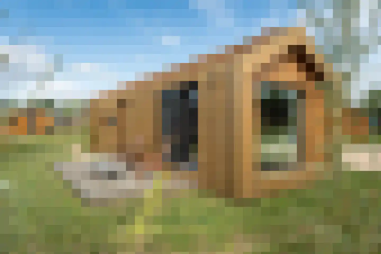 Hofdijklaan 61 R14 Oud Ade thumbnail 8