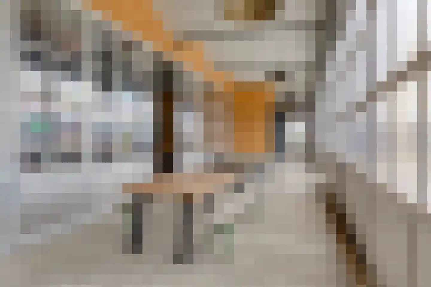 Hofdijklaan 61 R34 Oud Ade thumbnail 16