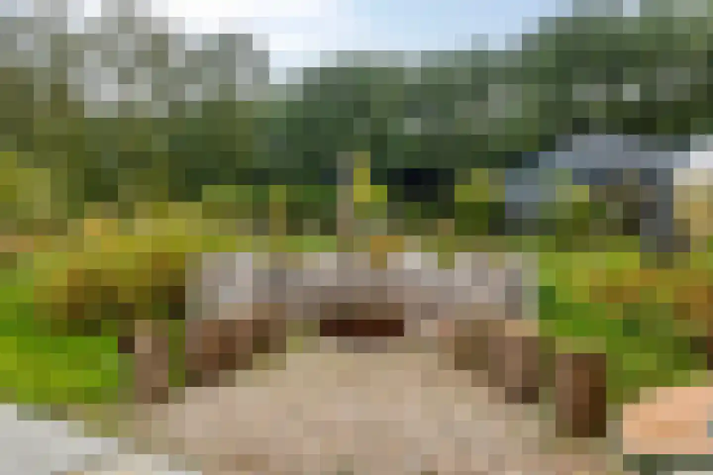 Hofdijklaan 61 R34 Oud Ade thumbnail 20