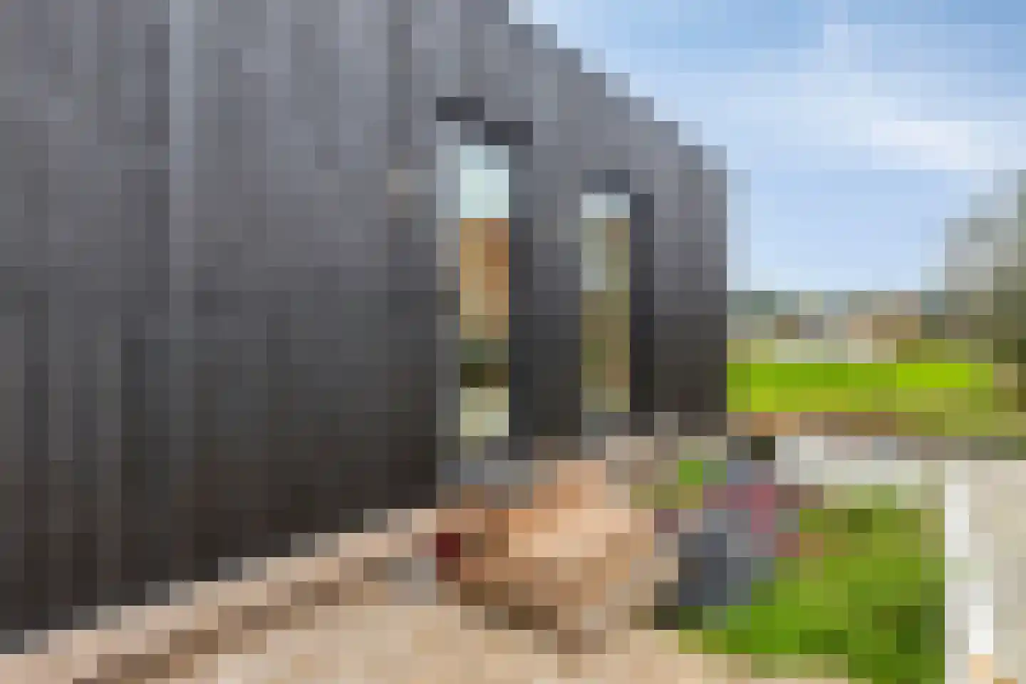 Hofdijklaan 61 R34 Oud Ade thumbnail 26
