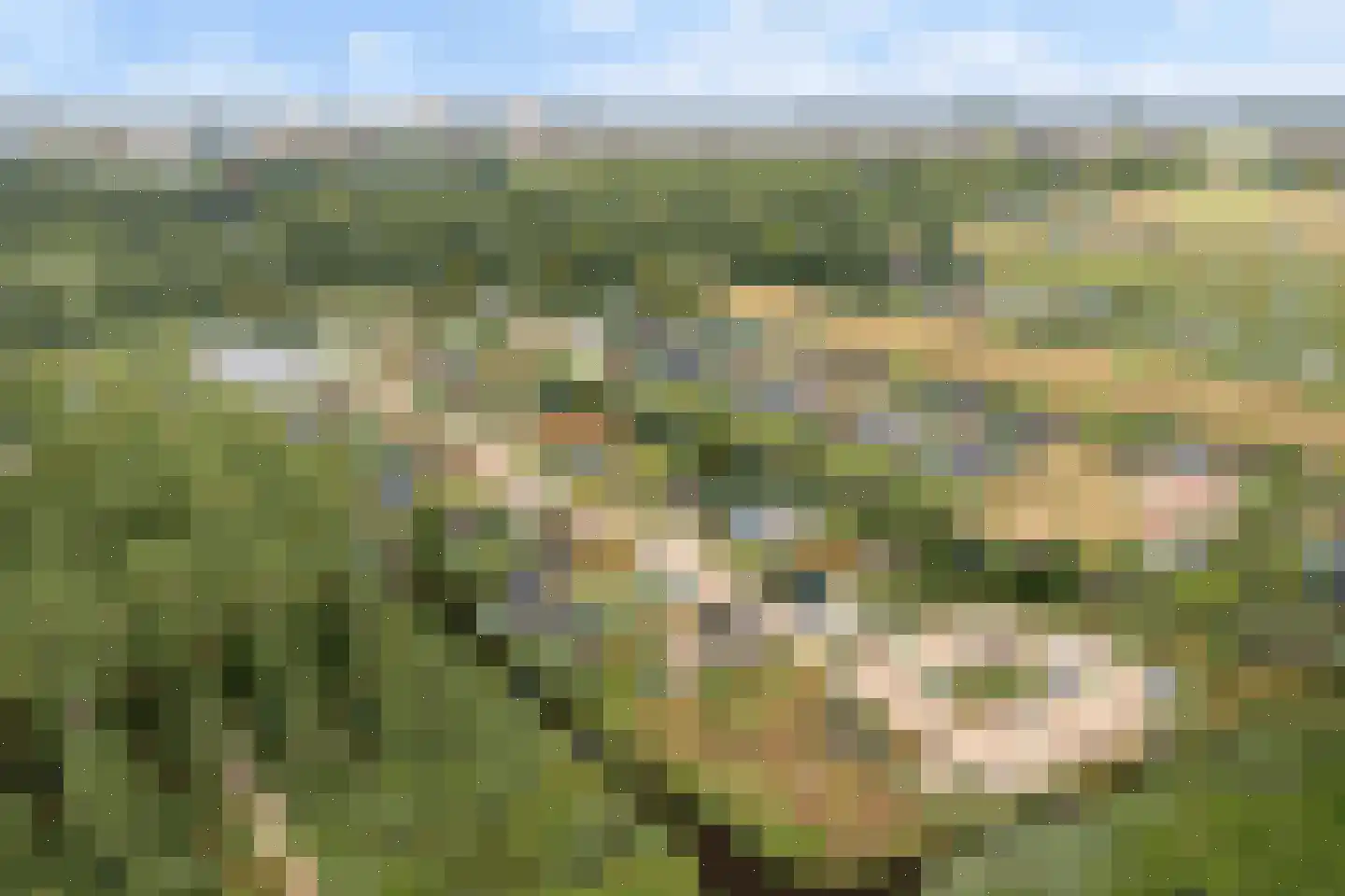 Hofdijklaan 61 R34 Oud Ade thumbnail 30