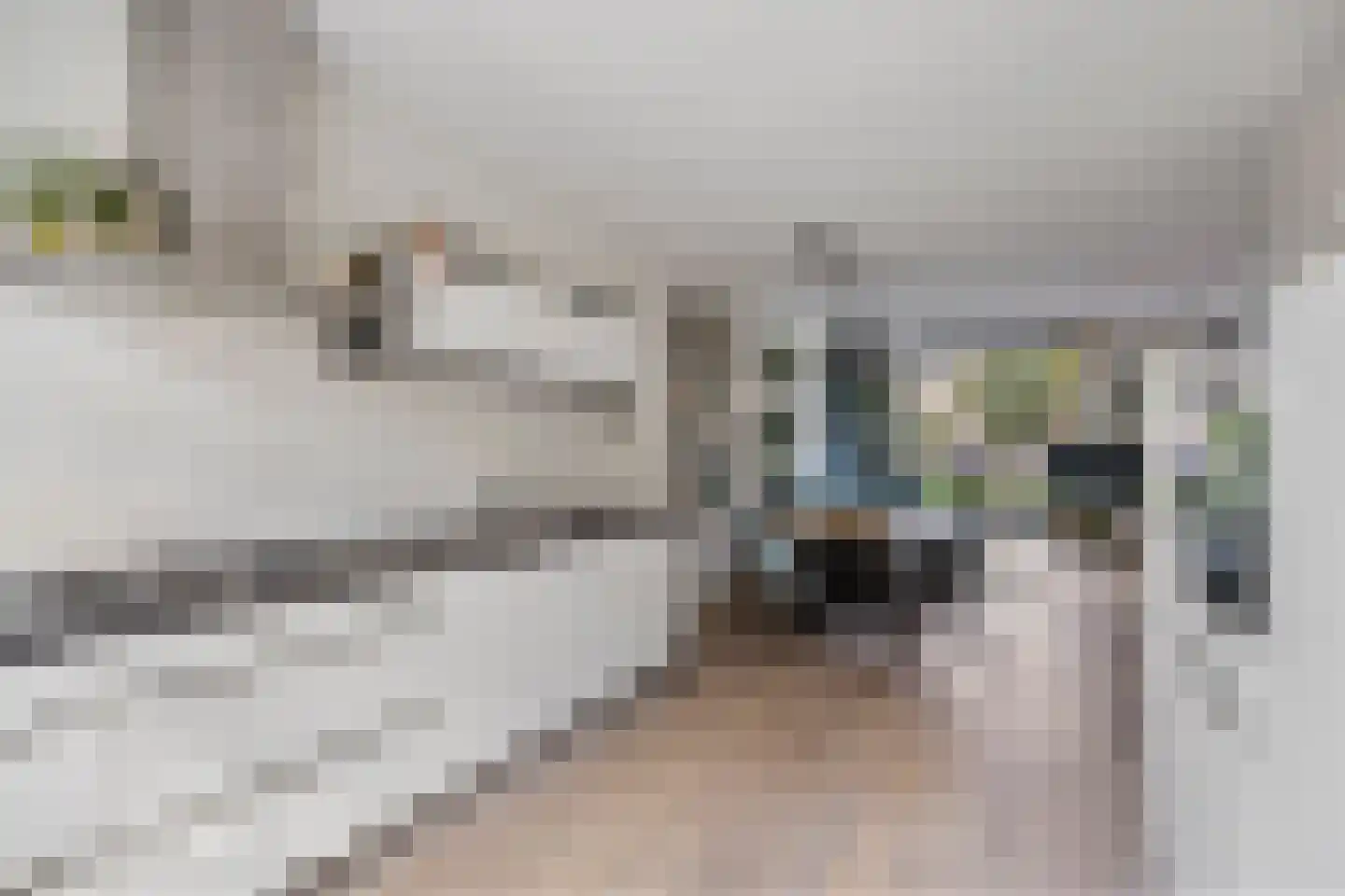 Hofdijkstraat 17 Nijmegen thumbnail 6