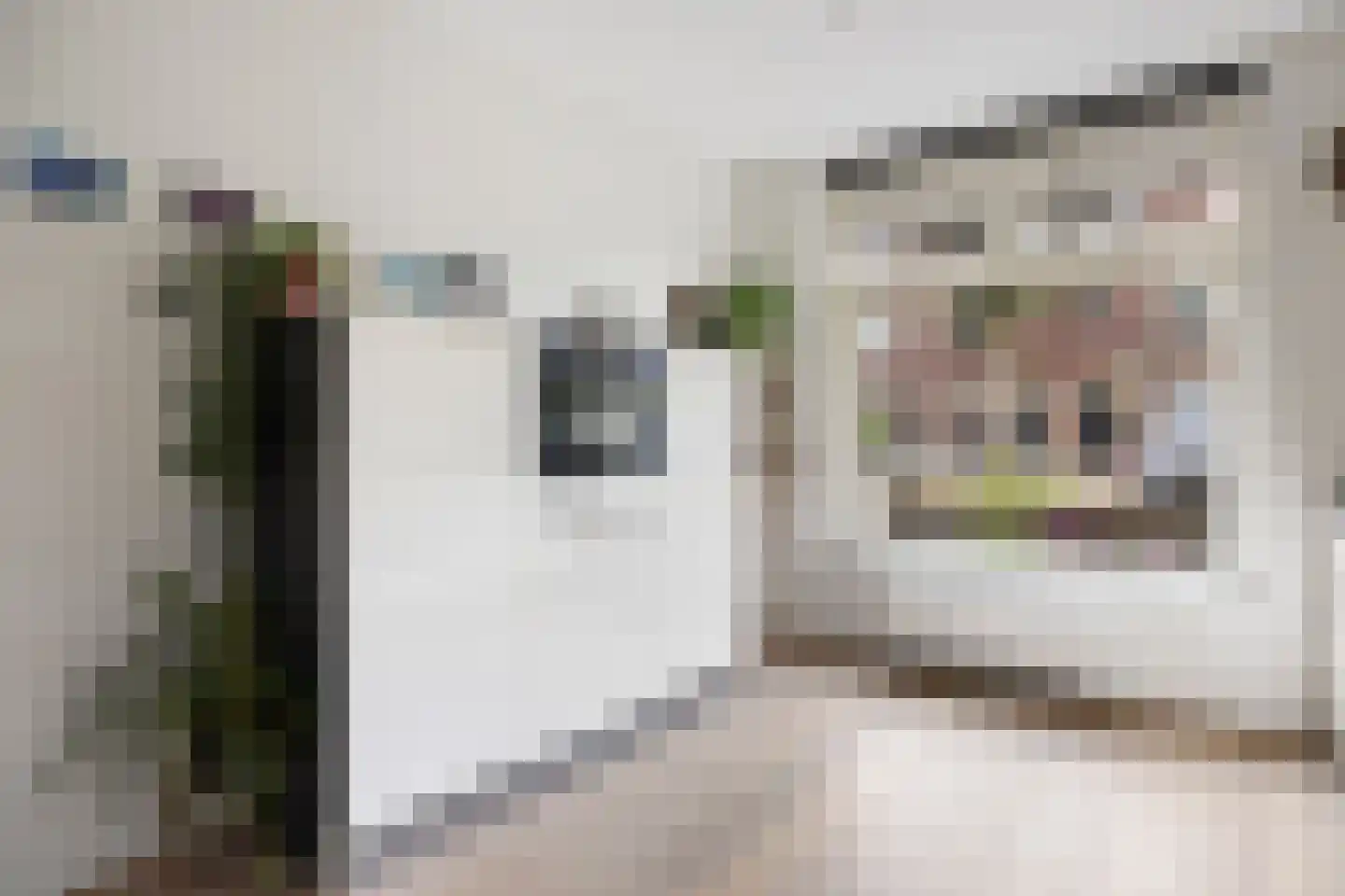 Hofdijkstraat 17 Nijmegen thumbnail 7