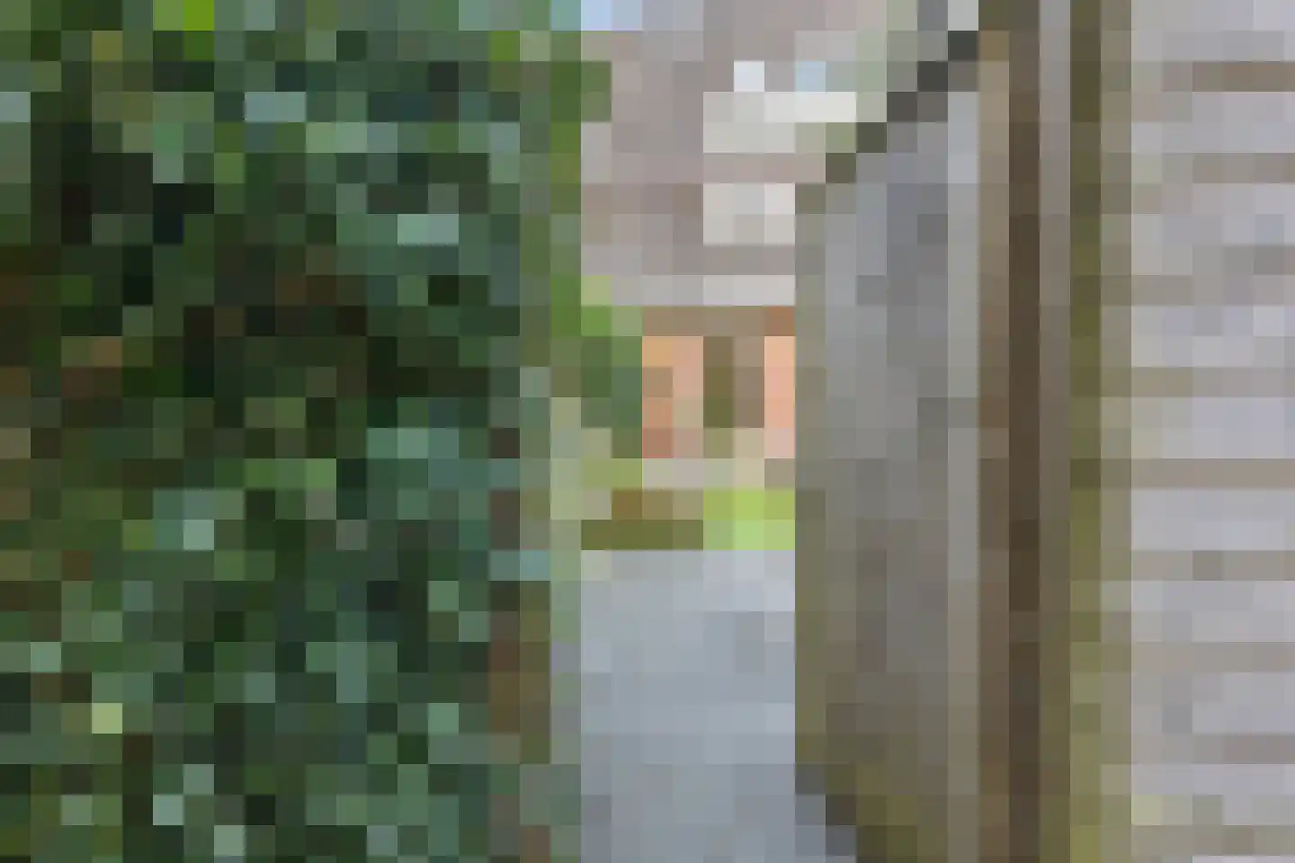 Hofdijkstraat 39 Nijmegen thumbnail 38