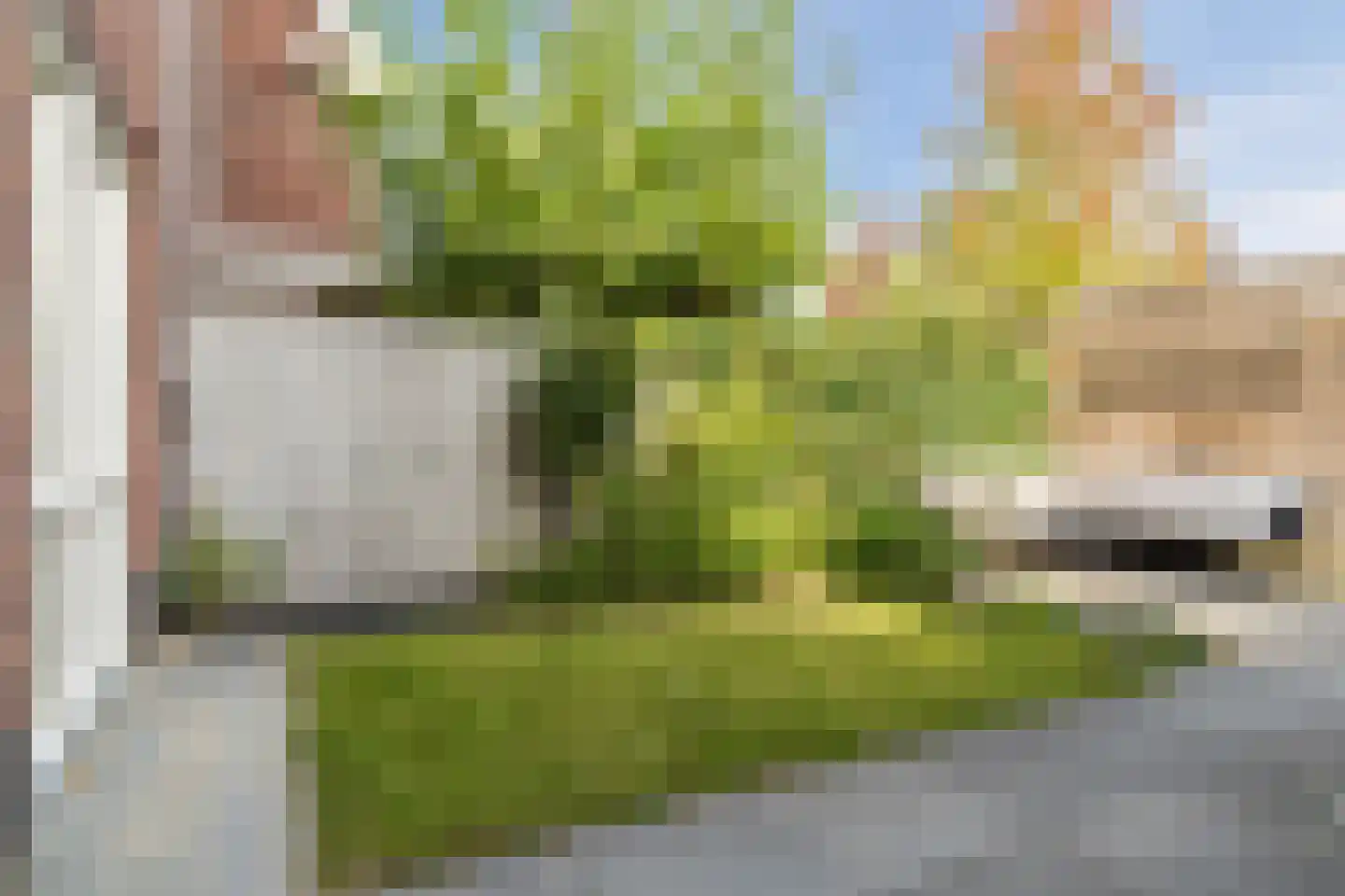 Hofdijkstraat 9 Nijmegen thumbnail 37