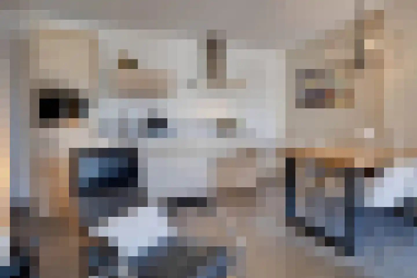 Hofdijksweg 3 Ouddorp thumbnail 10