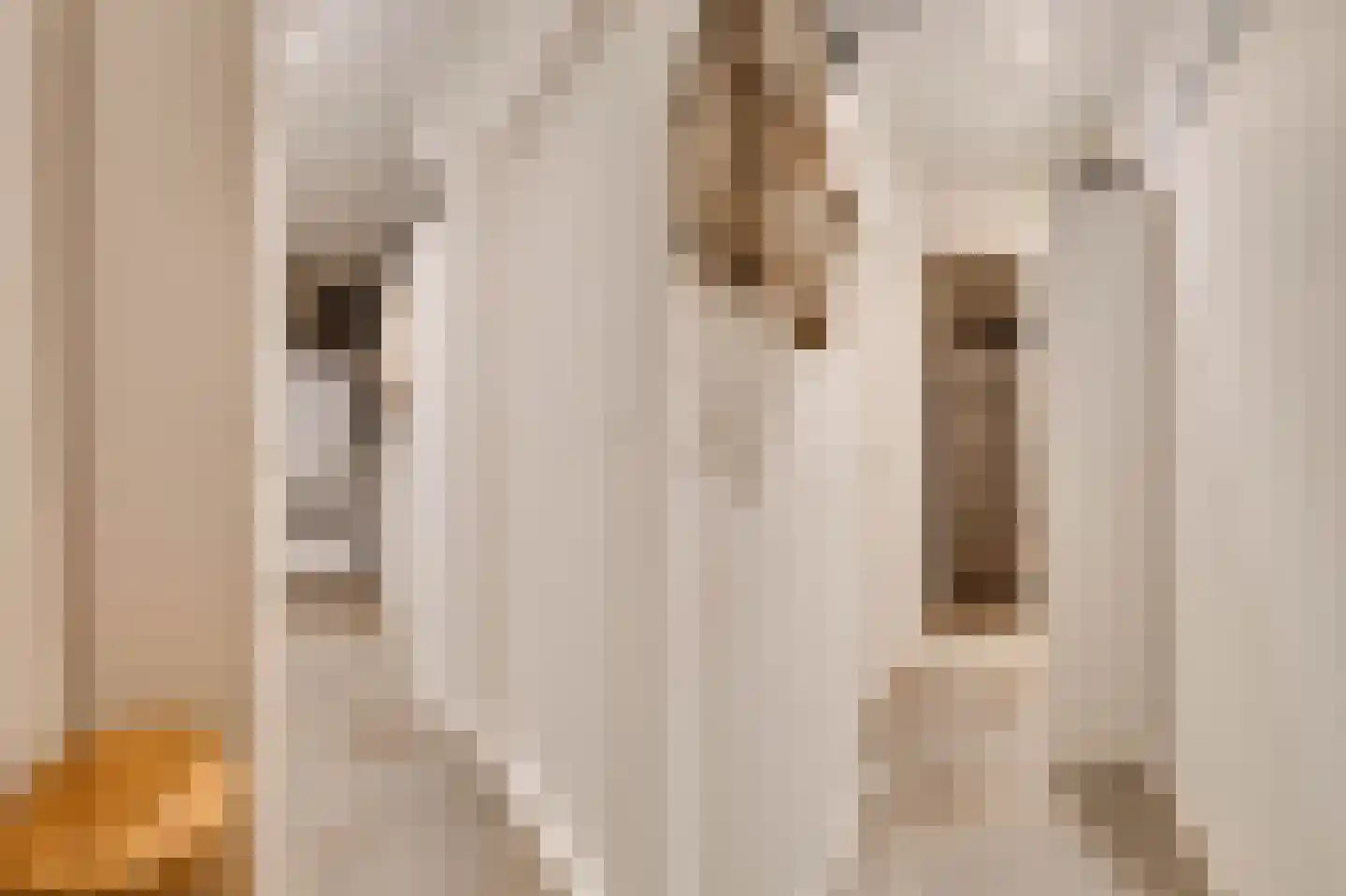 Hofdijksweg 3 Ouddorp thumbnail 13