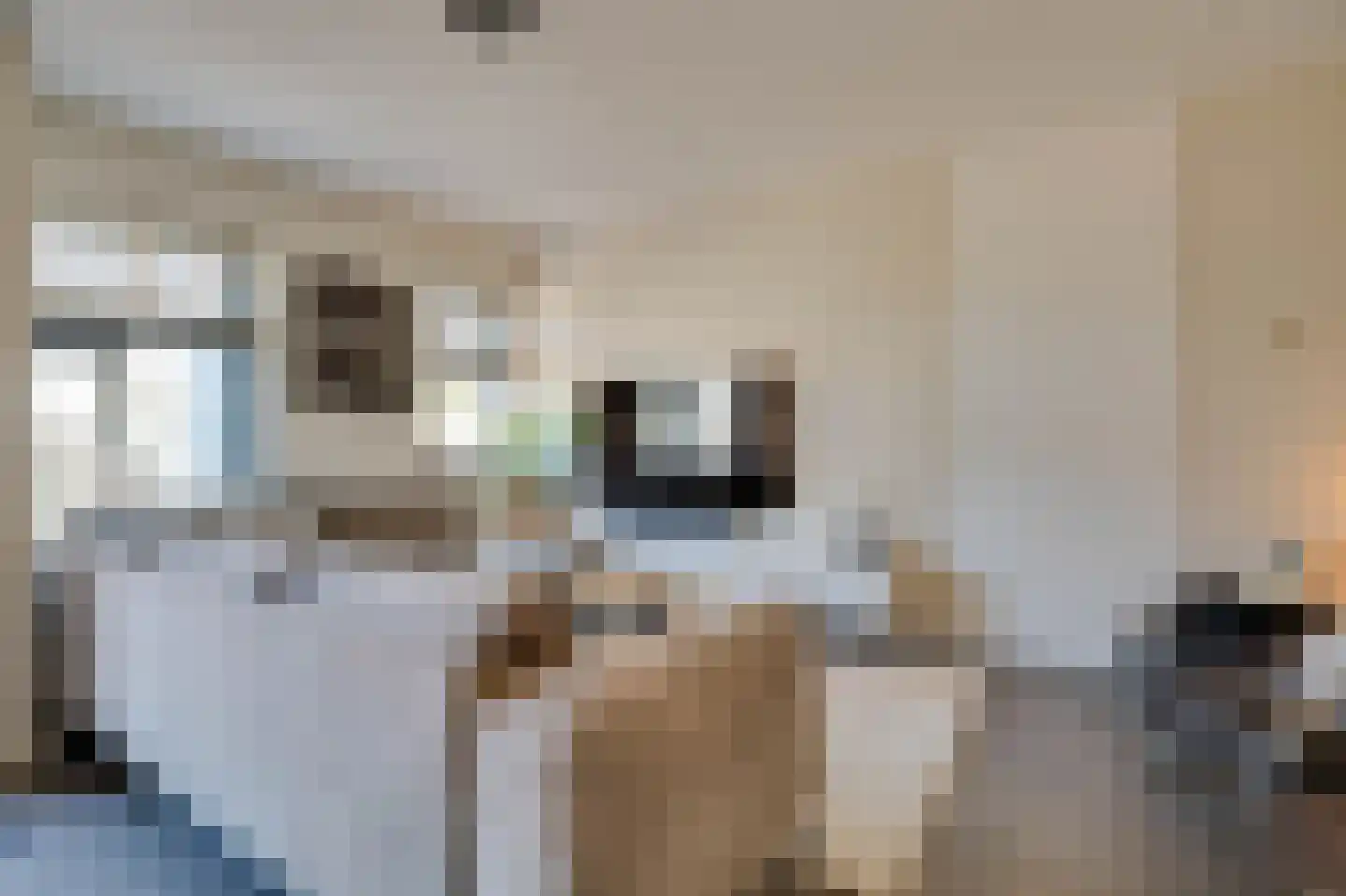 Hofdijksweg 3 Ouddorp thumbnail 5