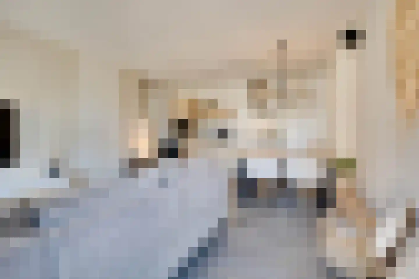 Hofdijksweg 3 Ouddorp thumbnail 6