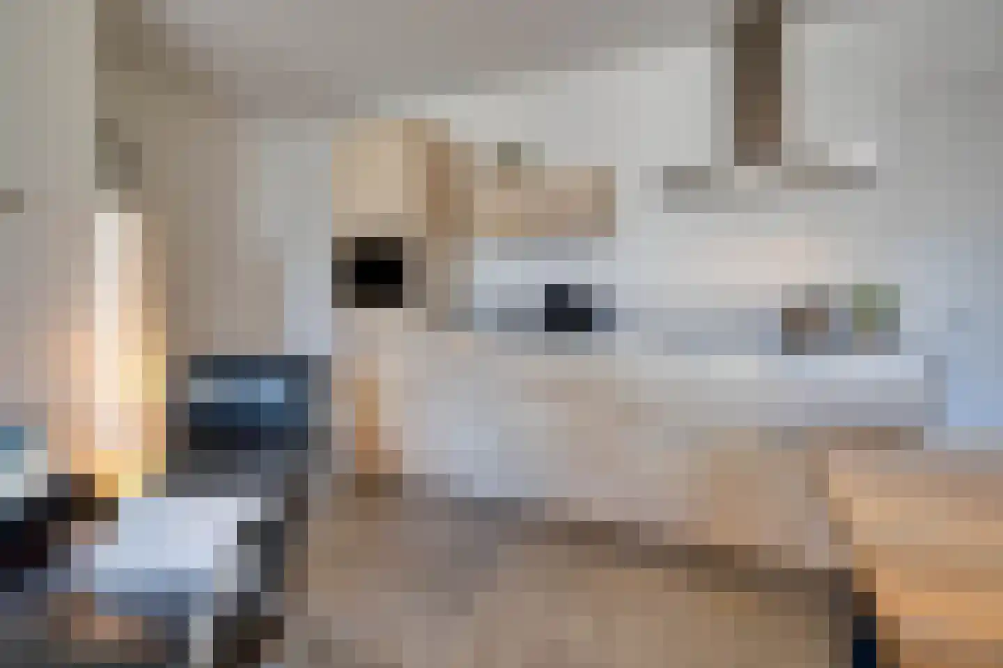 Hofdijksweg 3 Ouddorp thumbnail 9