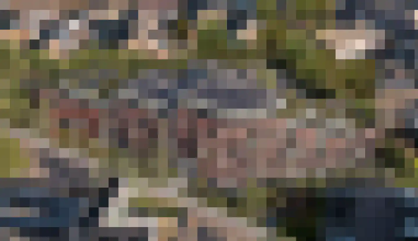 Hofdijksweg 30 8 Ouddorp thumbnail 4