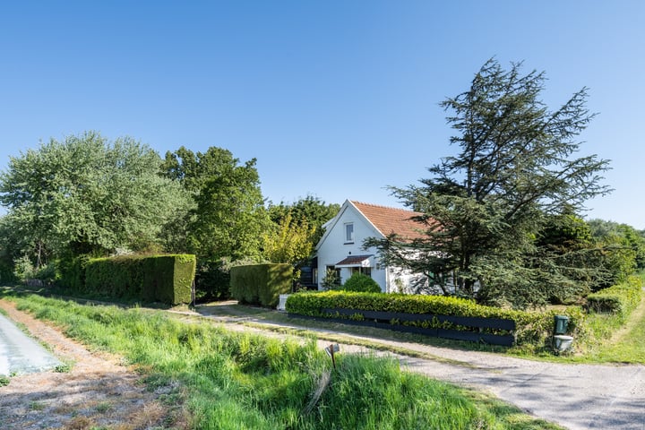 Hofdijksweg 61 in Ouddorp Foto