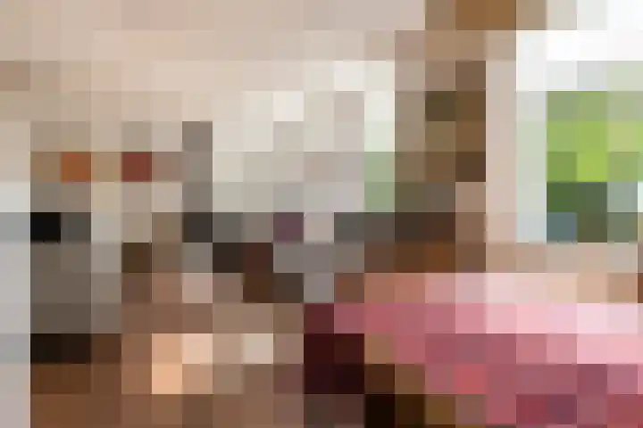 Hofdijksweg 61 Ouddorp thumbnail 14