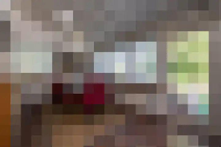 Hofdijksweg 61 Ouddorp thumbnail 18