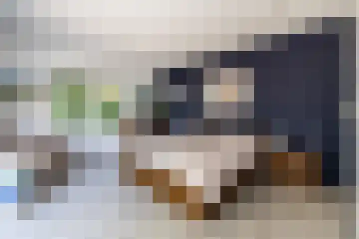 Hofdijksweg 61 Ouddorp thumbnail 22