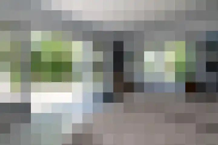 Hofdijksweg 61 Ouddorp thumbnail 24
