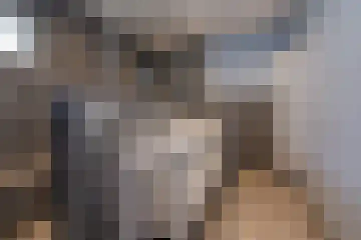 Hofdijksweg 61 Ouddorp thumbnail 25