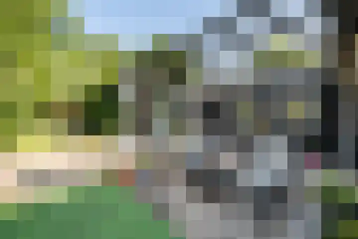 Hofdijksweg 61 Ouddorp thumbnail 28