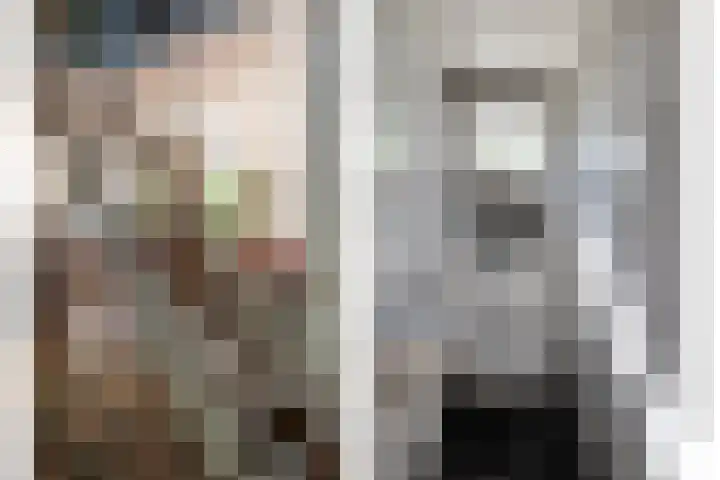 Hofdijksweg 61 Ouddorp thumbnail 36