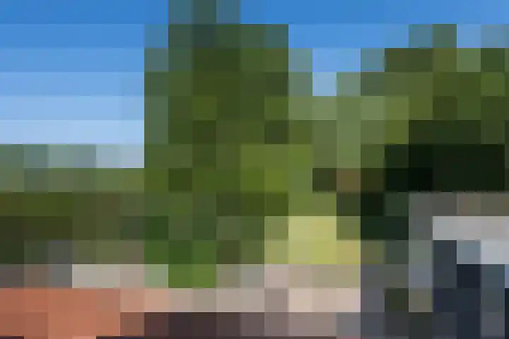 Hofdijksweg 61 Ouddorp thumbnail 37