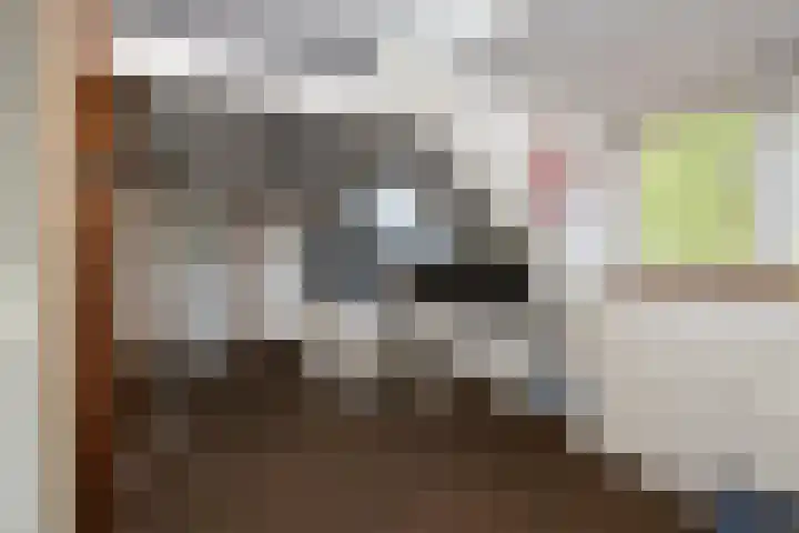 Hofdijksweg 61 Ouddorp thumbnail 42
