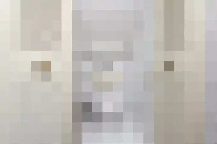 Hofdijksweg 61 Ouddorp thumbnail 43