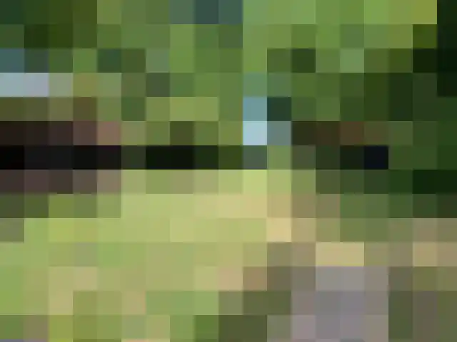 Hofdijksweg 61 Ouddorp thumbnail 44