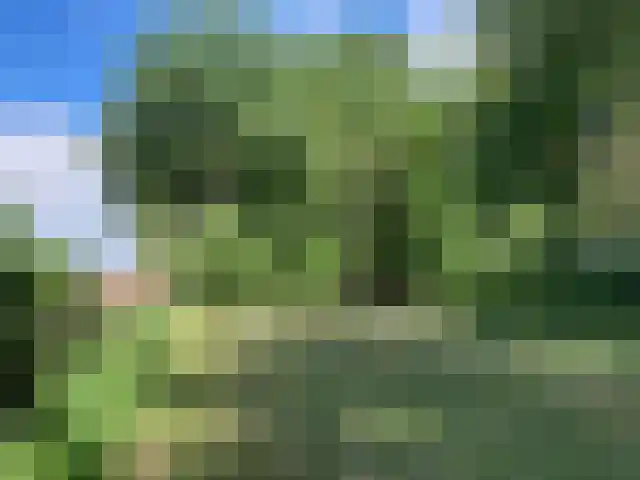 Hofdijksweg 61 Ouddorp thumbnail 45