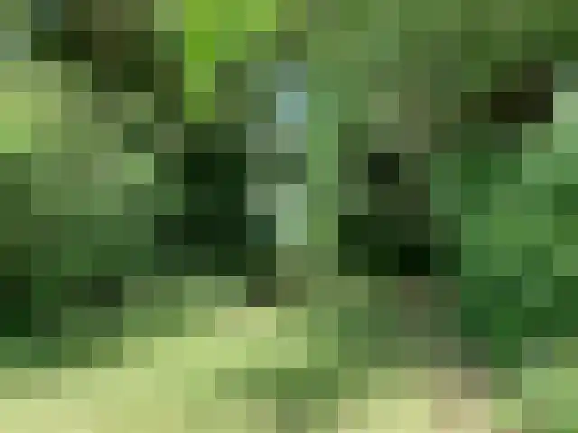 Hofdijksweg 61 Ouddorp thumbnail 46