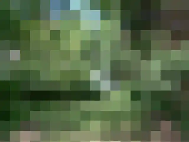 Hofdijksweg 61 Ouddorp thumbnail 47