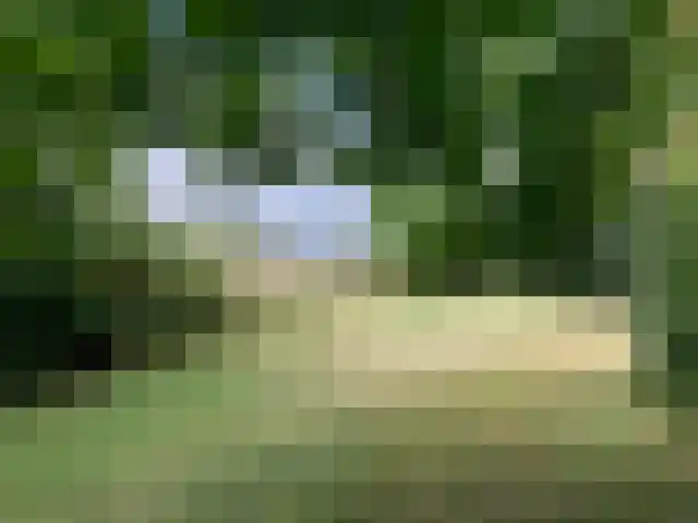 Hofdijksweg 61 Ouddorp thumbnail 48