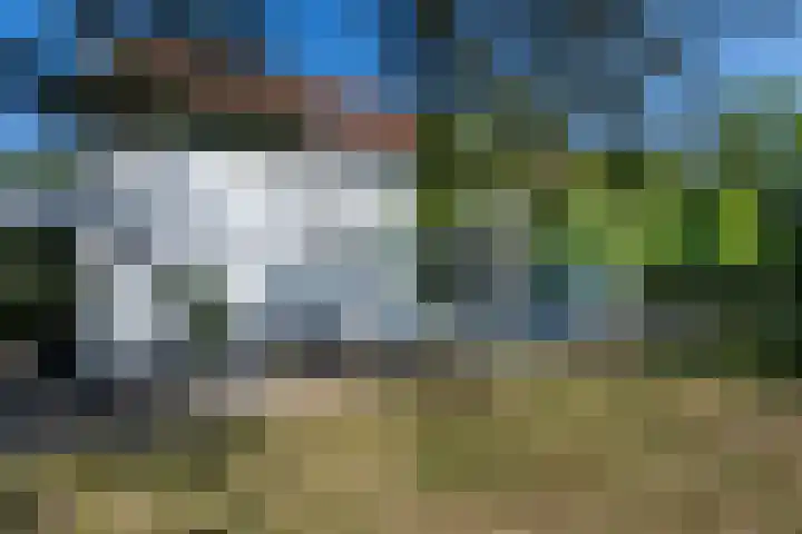Hofdijksweg 61 Ouddorp thumbnail 5