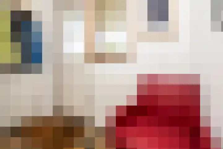 Hofdijksweg 61 Ouddorp thumbnail 9