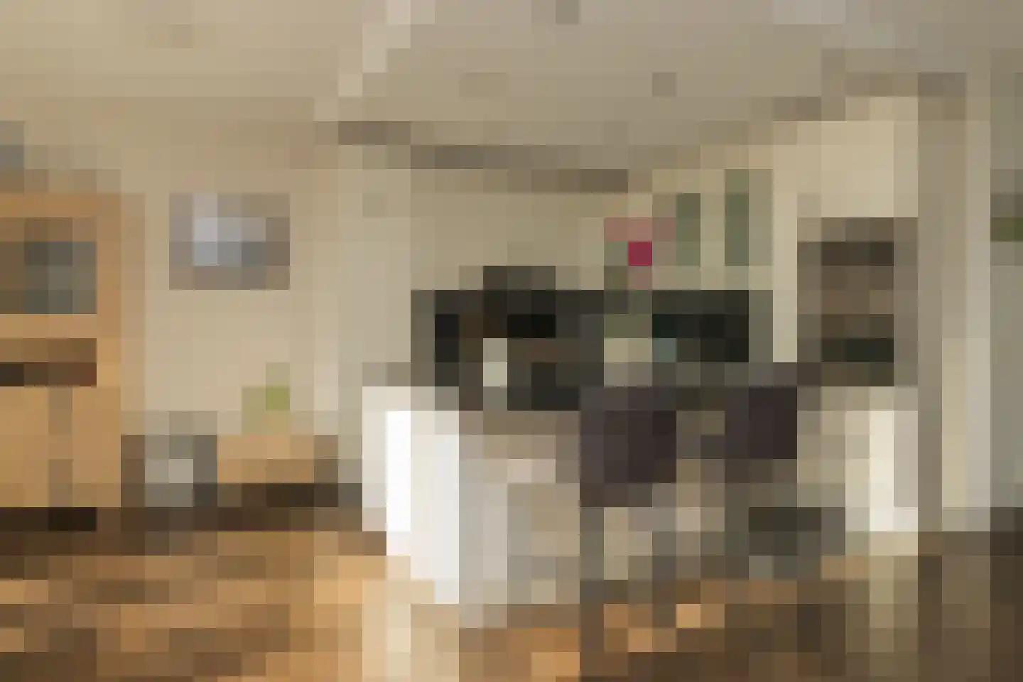 Hofduynlaan 45 Hillegom thumbnail 10