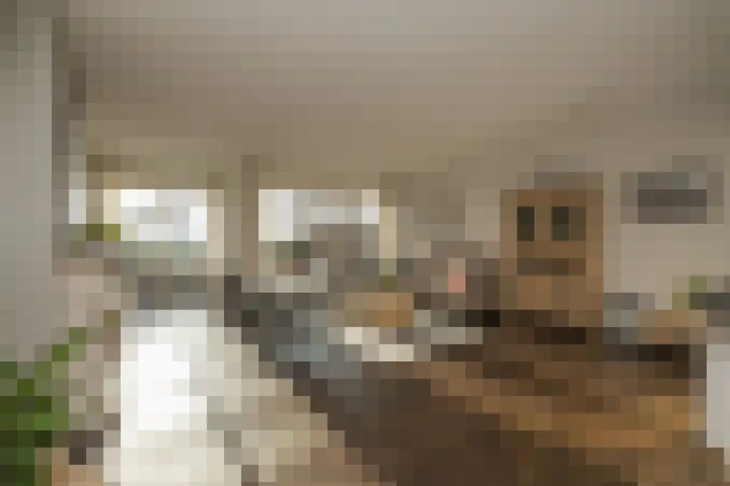 Hofduynlaan 45 Hillegom thumbnail 4