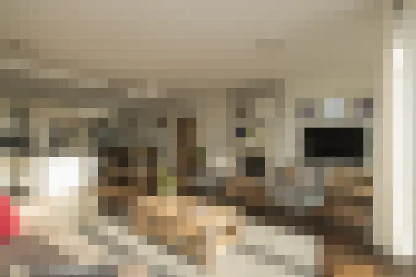 Hofduynlaan 45 Hillegom thumbnail 7