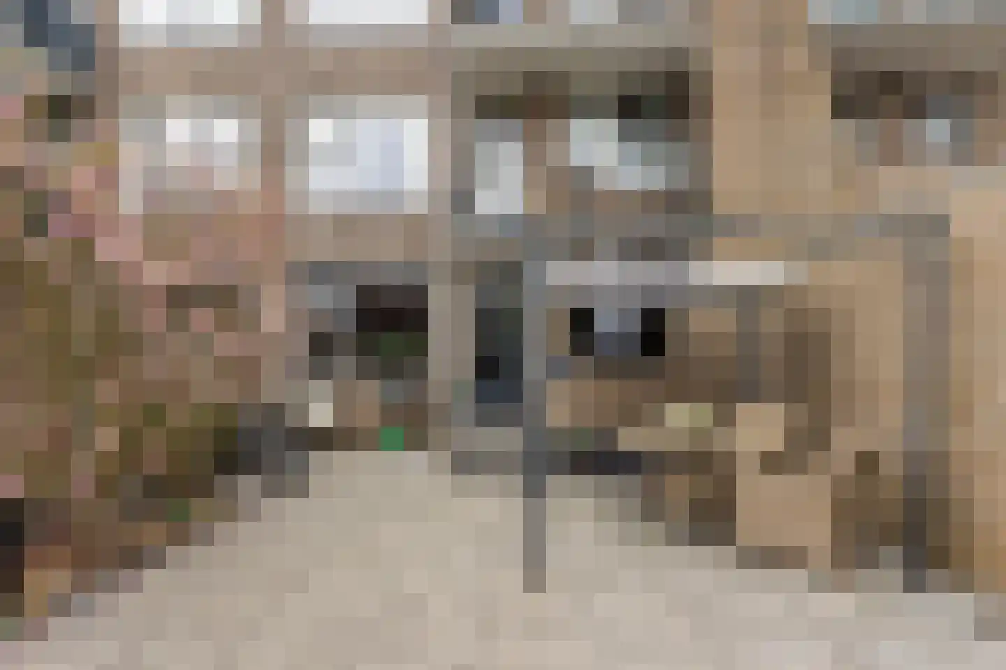 Hofdwarsstraat 24 Apeldoorn thumbnail 4