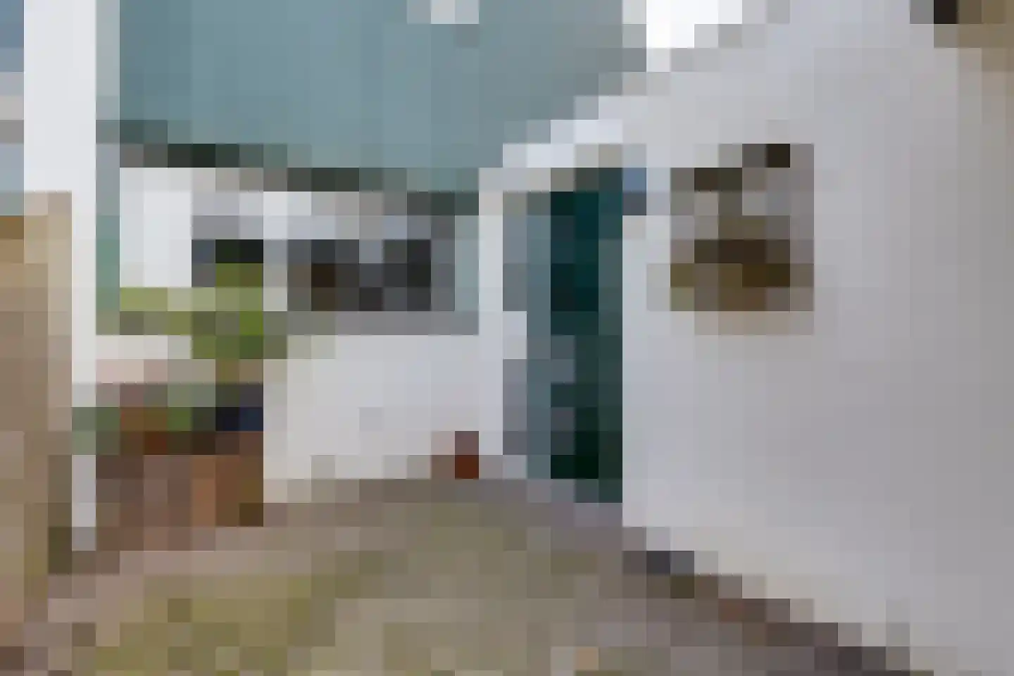 Hofesch 17 Lichtenvoorde thumbnail 14