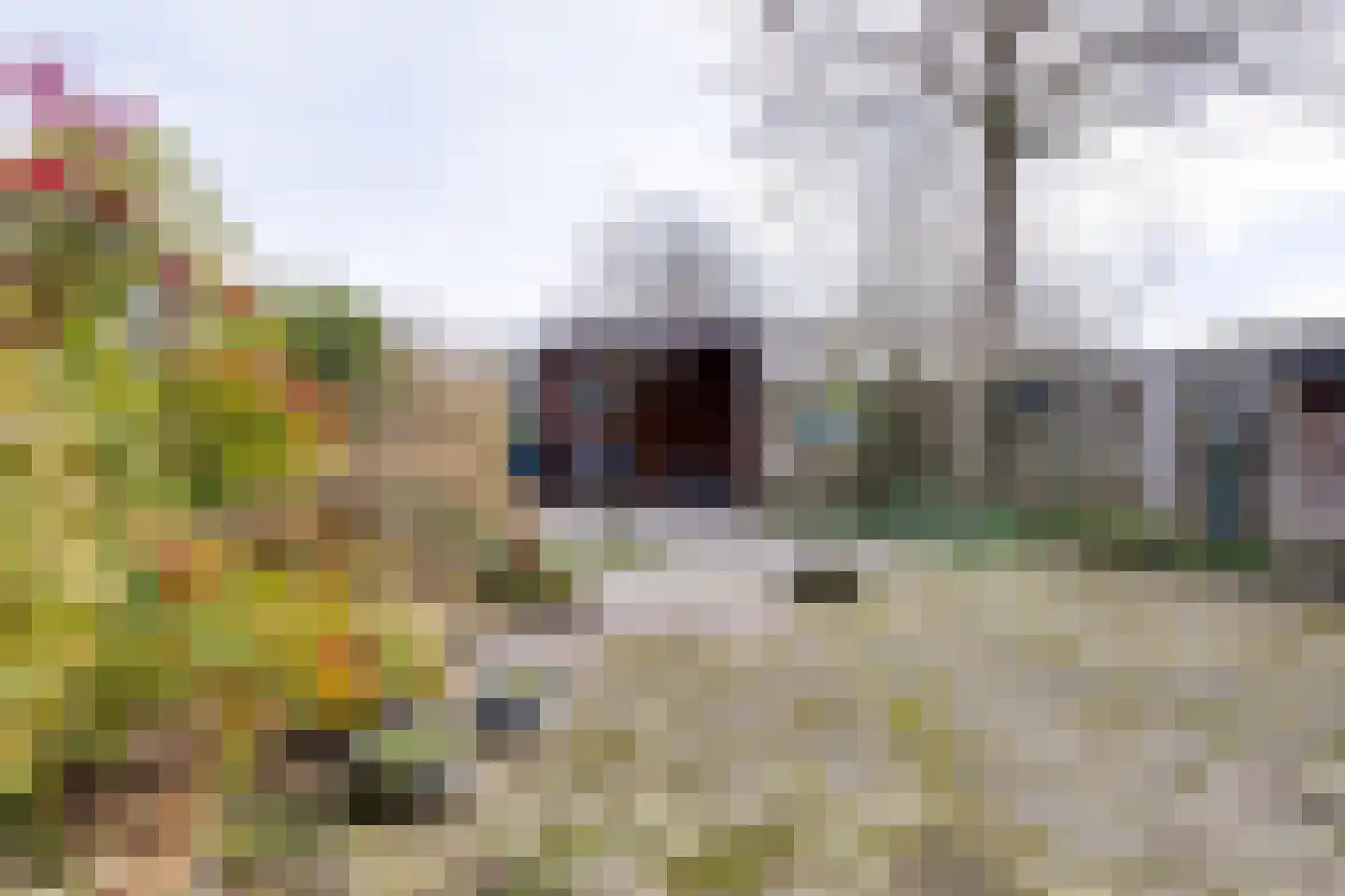 Hofesch 17 Lichtenvoorde thumbnail 23