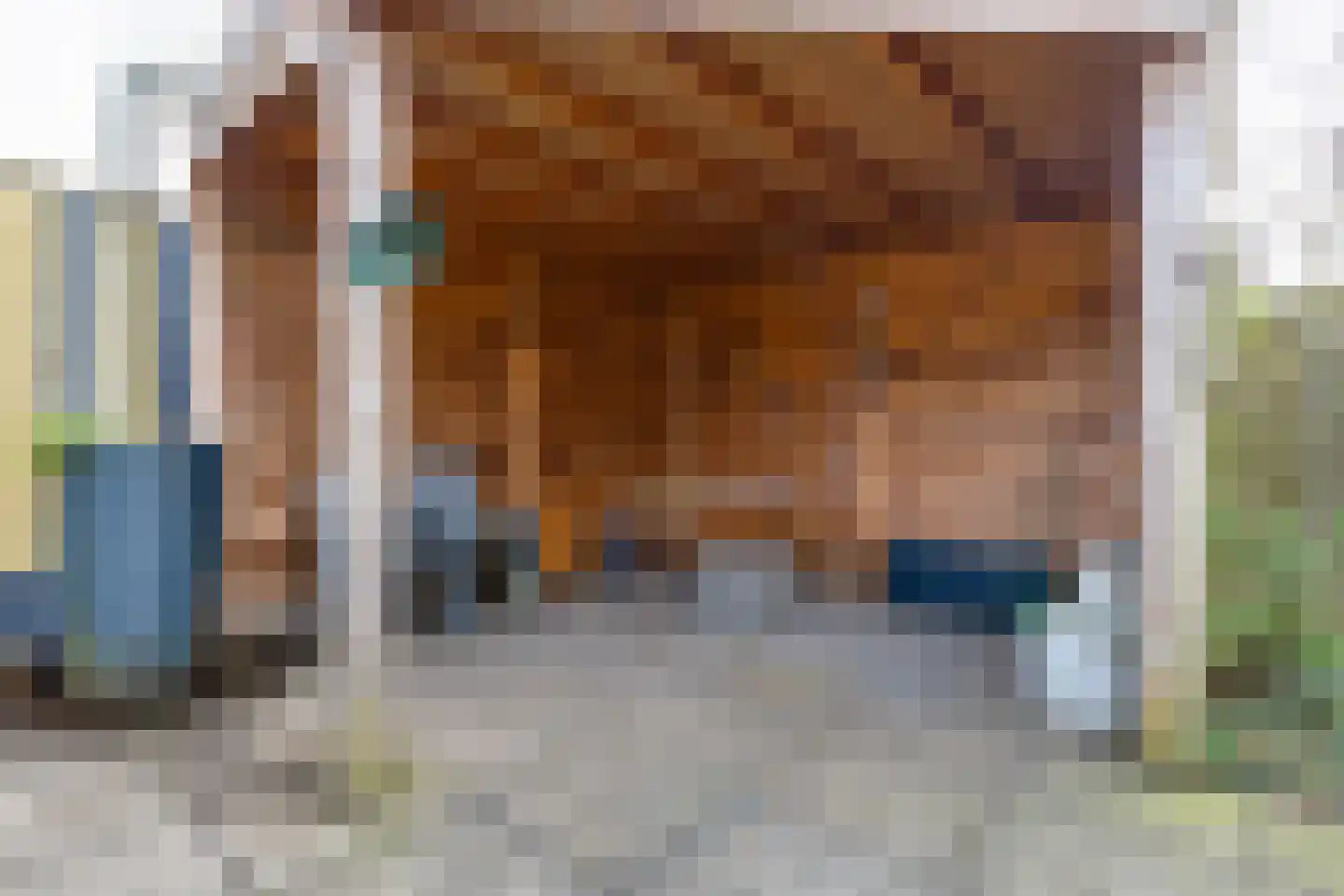 Hofesch 17 Lichtenvoorde thumbnail 25