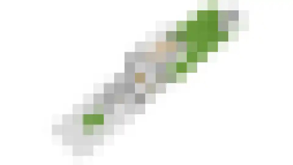 Hofesch 17 Lichtenvoorde thumbnail 38