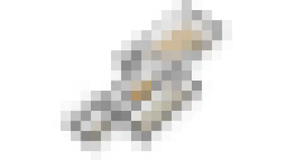 Hofesch 17 Lichtenvoorde thumbnail 39
